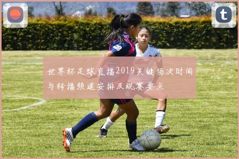 世界杯足球直播2019关键场次时间与转播频道安排及观赛要点
