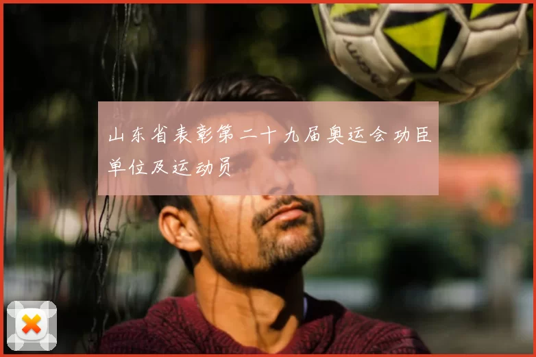 山东省表彰第二十九届奥运会功臣单位及运动员